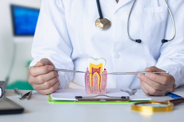Best 24-Hour Emergency Dentist in Chevy Chase View, MD